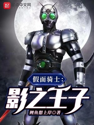 假面骑士：影之王子假面骑士：影之王子