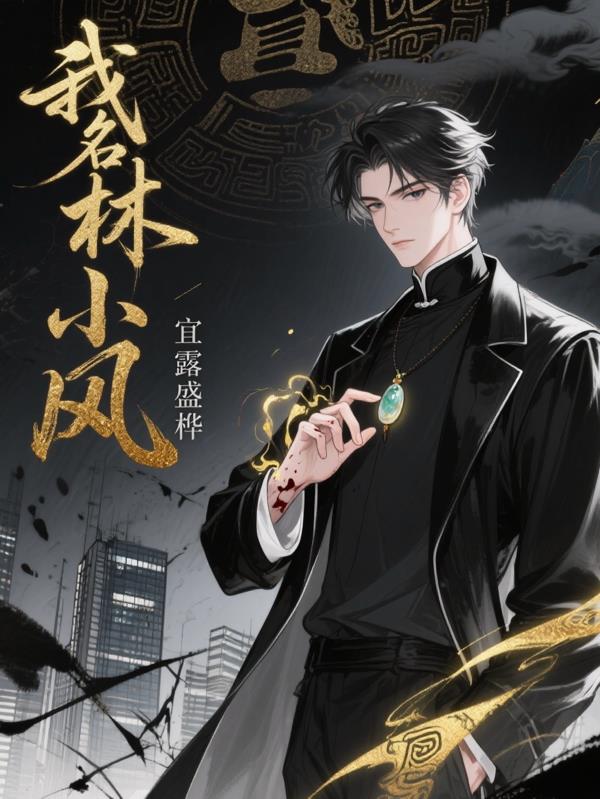 我名林小风我名林小风
