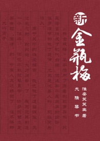 大陆禁书：新金瓶梅大陆禁书：新金瓶梅